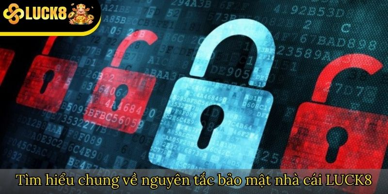 Nội dung nguyên tắc bảo mật luck8