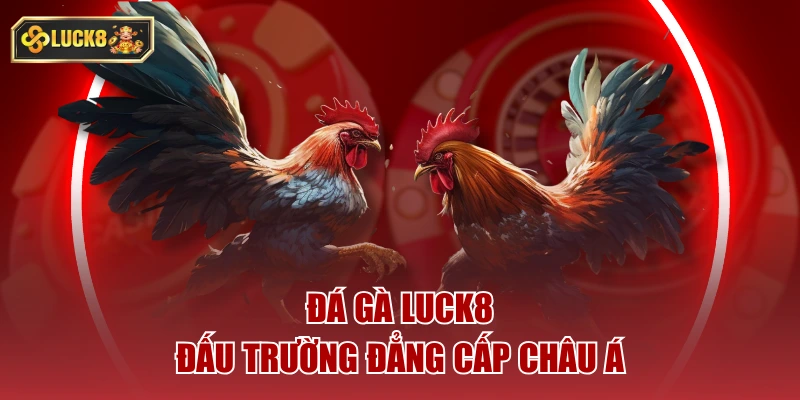 Luck8- đấu trường đẳng cấp châu á