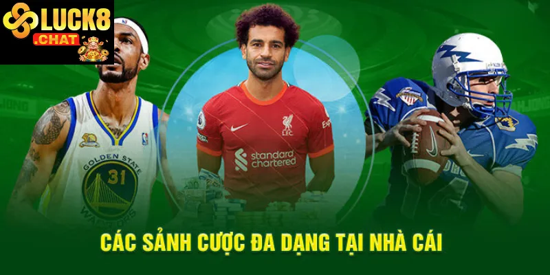 luck8- cá cược đa dạng tại các sảnh lớn hàng đầu