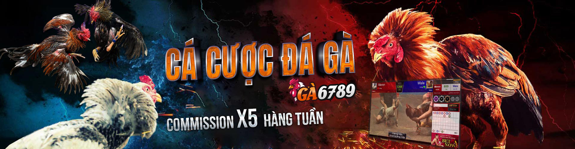 Luck8- cá cược kịch tính minh bạch hấp dẫn