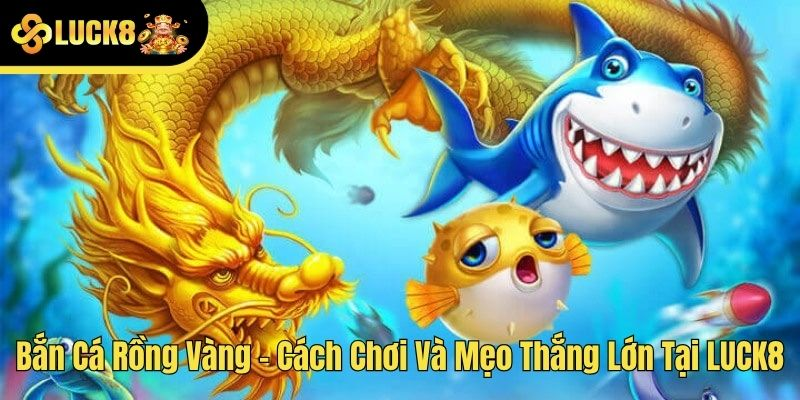 Bắn cá Luck8- các mẹo chơi thắng  lớn 